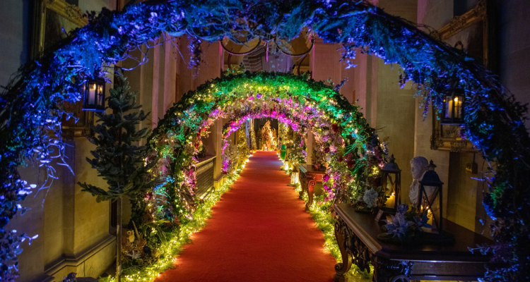 Lit-up walkway at Blenheim Palace.